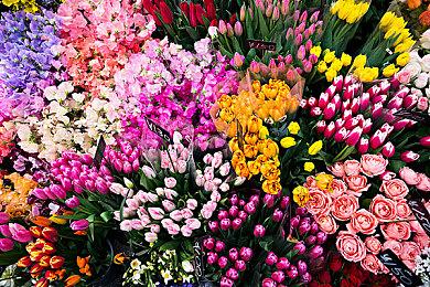 《黎明杀机》并无开发续作计划 将继续进行内容更新